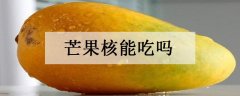 芒果核能吃吗有哪些功效与作用