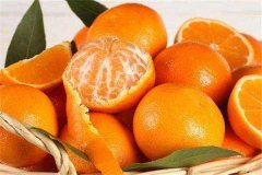橘子是热性还是凉性多吃好吗