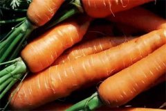 胡萝卜不能和什么一起吃需要注意什么