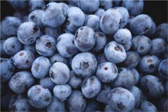 蓝莓一天吃多少为宜吃多了会怎样