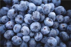 蓝莓一天吃多少为宜吃多了有什么副作用