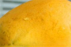 芒果不能和什么一起吃可以减肥吗