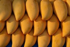 吃芒果过敏怎么办解决方法有哪些
