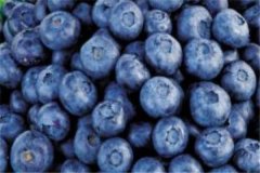蓝莓怎么吃有什么功效