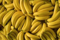 减肥期间可以吃香蕉吗香蕉热量高吗
