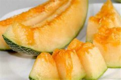 哈密瓜是热性还是凉性吃多了会上火吗