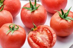 番茄的功效与作用及营养价值是什么