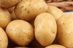 土豆不能和什么一起吃食用禁忌有哪些
