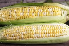 水果玉米是转基因的吗对身体健康有害吗