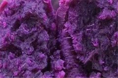 紫薯是转基因食品吗怎么吃