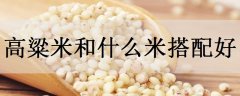高粱米和什么米搭配好吃高粱米有什么好处