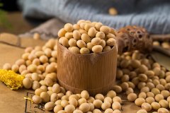 黄豆的功效与作用及营养价值是什么