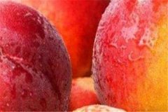 吃桃子的好处和坏处需要注意什么