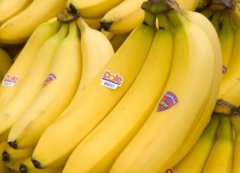 香蕉性味归经 香蕉的药用价值