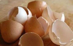 鸡蛋壳如何去除水壶的水垢